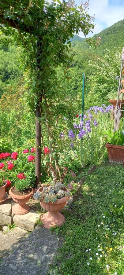 Gorzegno Ca D' Fefi B&B 외부 사진